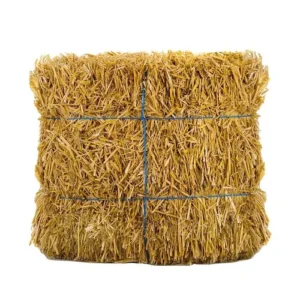 Alfalfa Hay for Animal Feed
