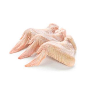 wholesale Frozen Chicken