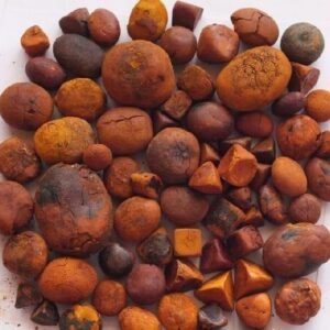 wholesale  Ox gallstone