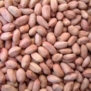 Peanut Kernels